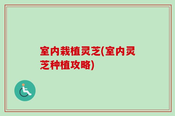 室内栽植灵芝(室内灵芝种植攻略)