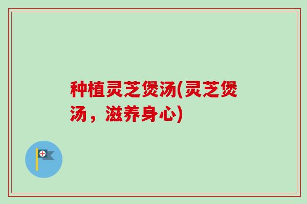种植灵芝煲汤(灵芝煲汤，滋养身心)