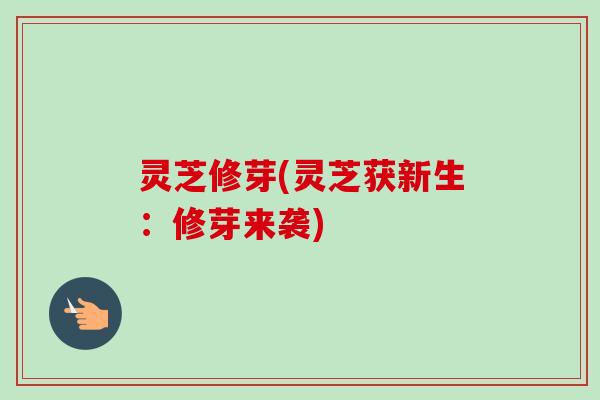 灵芝修芽(灵芝获新生：修芽来袭)