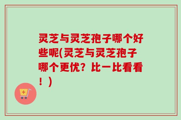 灵芝与灵芝孢子哪个好些呢(灵芝与灵芝孢子哪个更优？比一比看看！)