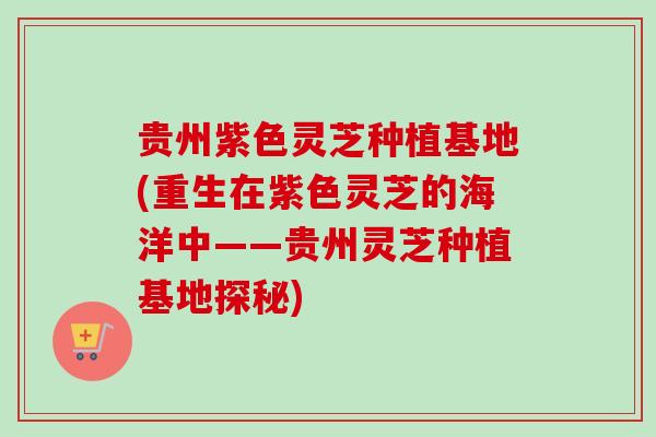 贵州紫色灵芝种植基地(重生在紫色灵芝的海洋中——贵州灵芝种植基地探秘)