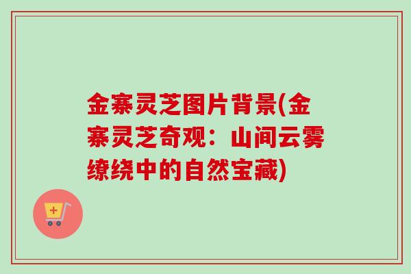 金寨灵芝图片背景(金寨灵芝奇观：山间云雾缭绕中的自然宝藏)