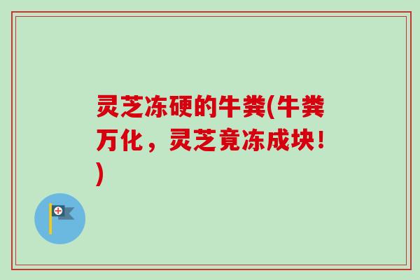 灵芝冻硬的牛粪(牛粪万化，灵芝竟冻成块！)