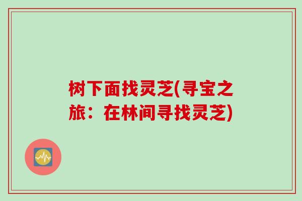 树下面找灵芝(寻宝之旅：在林间寻找灵芝)