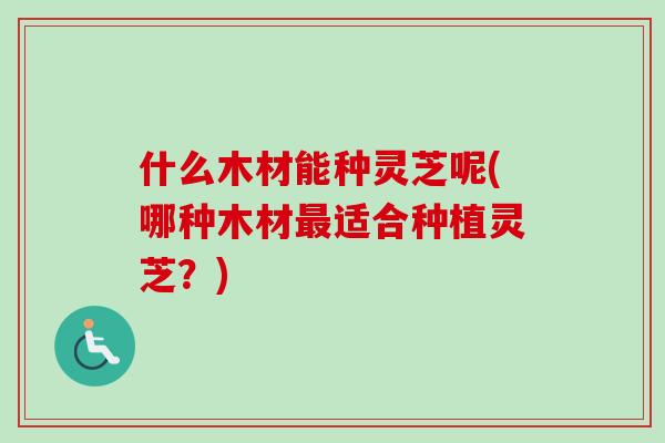 什么木材能种灵芝呢(哪种木材最适合种植灵芝？)