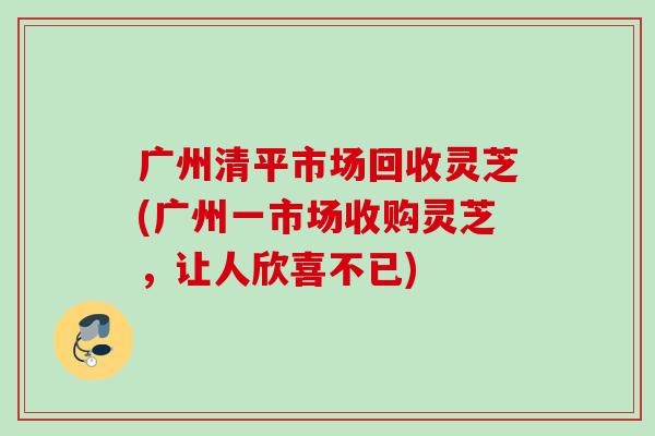 广州清平市场回收灵芝(广州一市场收购灵芝，让人欣喜不已)