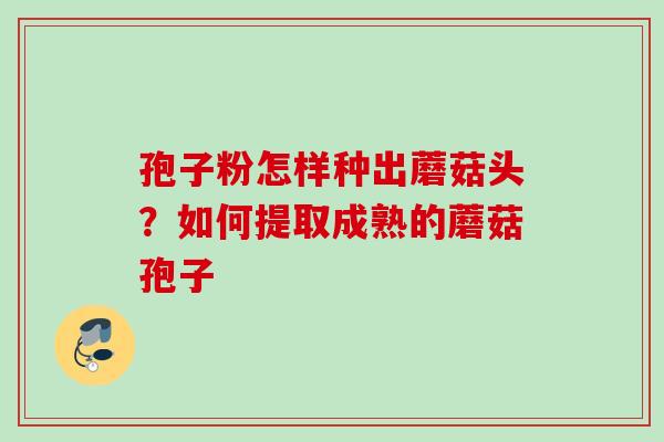 孢子粉怎样种出蘑菇头？如何提取成熟的蘑菇孢子