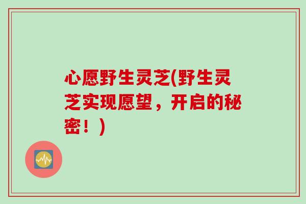 心愿野生灵芝(野生灵芝实现愿望，开启的秘密！)