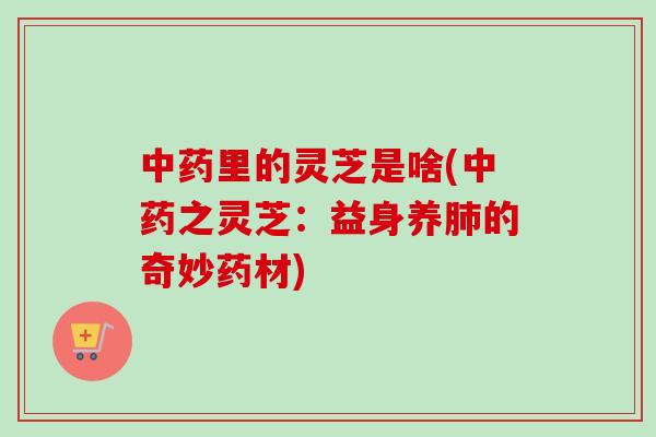 中药里的灵芝是啥(中药之灵芝：益身养肺的奇妙药材)