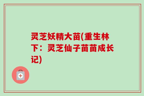 灵芝妖精大苗(重生林下：灵芝仙子苗苗成长记)
