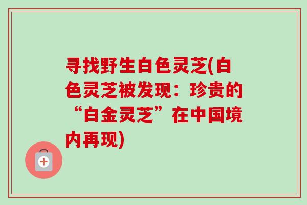 寻找野生白色灵芝(白色灵芝被发现：珍贵的“白金灵芝”在中国境内再现)