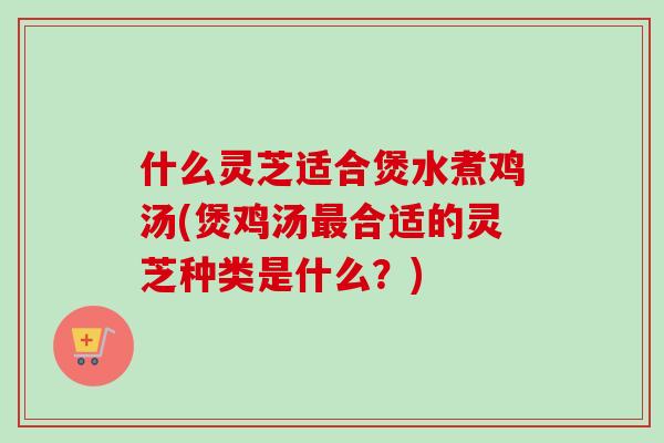 什么灵芝适合煲水煮鸡汤(煲鸡汤最合适的灵芝种类是什么？)