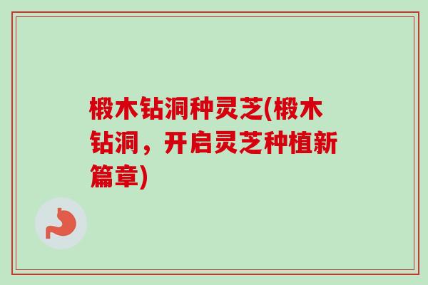 椴木钻洞种灵芝(椴木钻洞，开启灵芝种植新篇章)