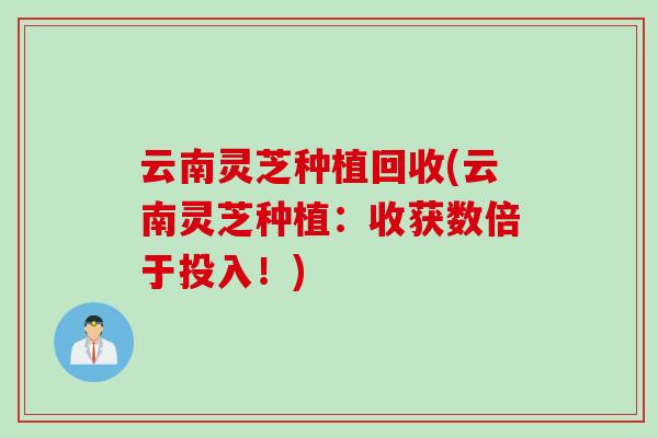 云南灵芝种植回收(云南灵芝种植：收获数倍于投入！)
