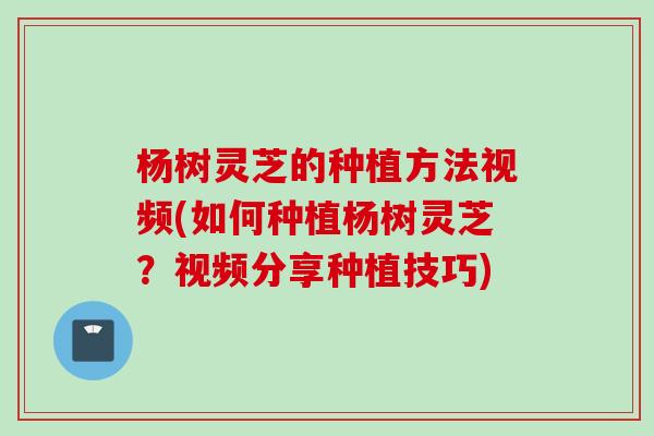 杨树灵芝的种植方法视频(如何种植杨树灵芝？视频分享种植技巧)