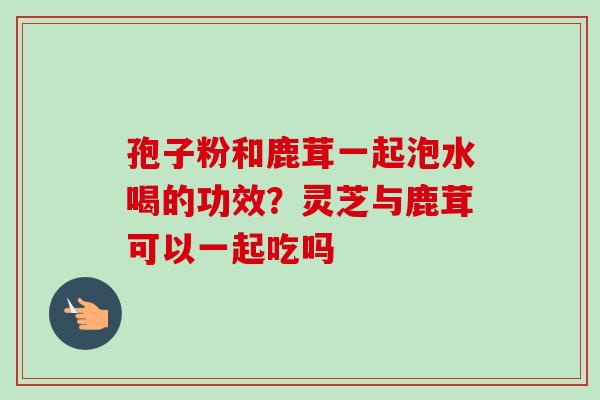 孢子粉和鹿茸一起泡水喝的功效？灵芝与鹿茸可以一起吃吗