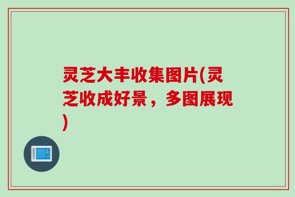 灵芝大丰收集图片(灵芝收成好景，多图展现)