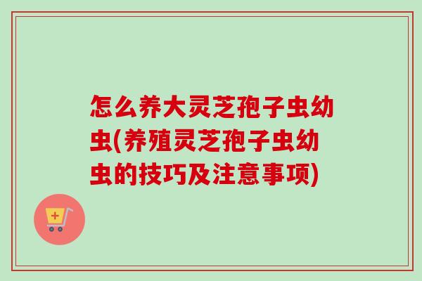 怎么养大灵芝孢子虫幼虫(养殖灵芝孢子虫幼虫的技巧及注意事项)