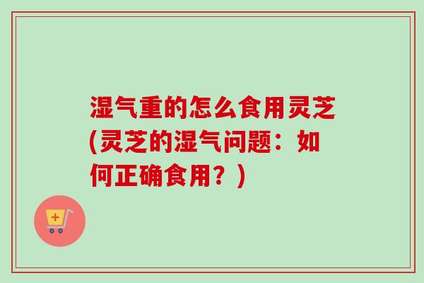 湿气重的怎么食用灵芝(灵芝的湿气问题：如何正确食用？)