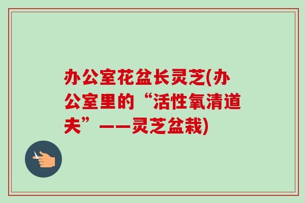办公室花盆长灵芝(办公室里的“活性氧清道夫”——灵芝盆栽)