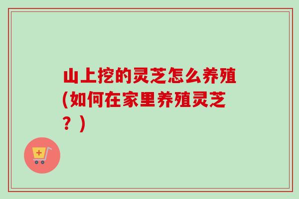 山上挖的灵芝怎么养殖(如何在家里养殖灵芝？)