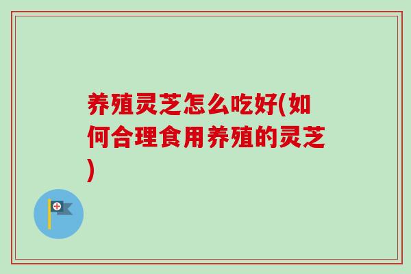 养殖灵芝怎么吃好(如何合理食用养殖的灵芝)