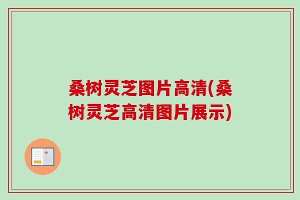 桑树灵芝图片高清(桑树灵芝高清图片展示)