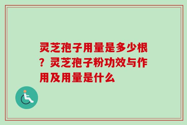 灵芝孢子用量是多少根？灵芝孢子粉功效与作用及用量是什么