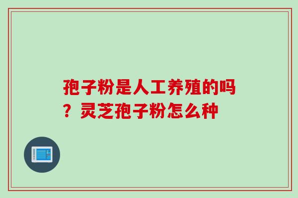 孢子粉是人工养殖的吗？灵芝孢子粉怎么种