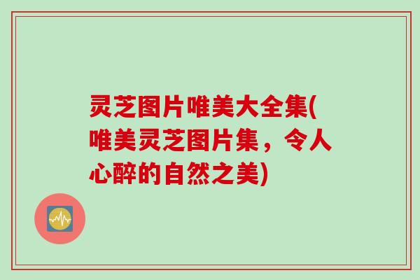 灵芝图片唯美大全集(唯美灵芝图片集，令人心醉的自然之美)
