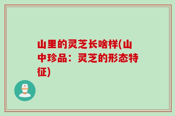 山里的灵芝长啥样(山中珍品：灵芝的形态特征)