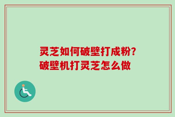 灵芝如何破壁打成粉？破壁机打灵芝怎么做