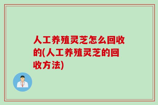 人工养殖灵芝怎么回收的(人工养殖灵芝的回收方法)