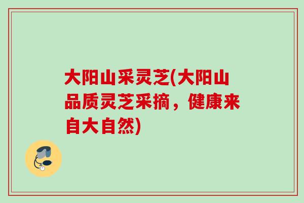 大阳山采灵芝(大阳山品质灵芝采摘，健康来自大自然)