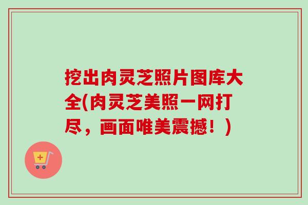 挖出肉灵芝照片图库大全(肉灵芝美照一网打尽，画面唯美震撼！)