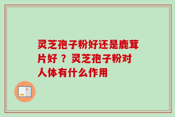 灵芝孢子粉好还是鹿茸片好 ？灵芝孢子粉对人体有什么作用