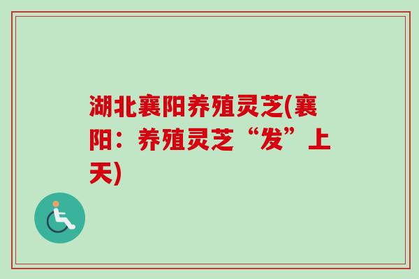 湖北襄阳养殖灵芝(襄阳：养殖灵芝“发”上天)