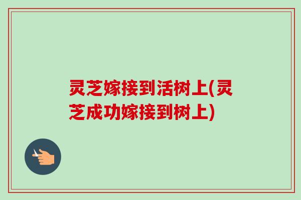 灵芝嫁接到活树上(灵芝成功嫁接到树上)