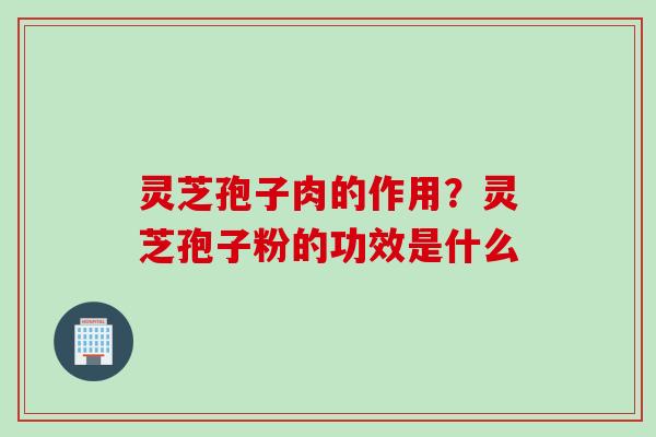 灵芝孢子肉的作用？灵芝孢子粉的功效是什么