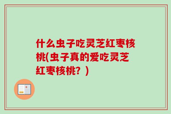 什么虫子吃灵芝红枣核桃(虫子真的爱吃灵芝红枣核桃？)