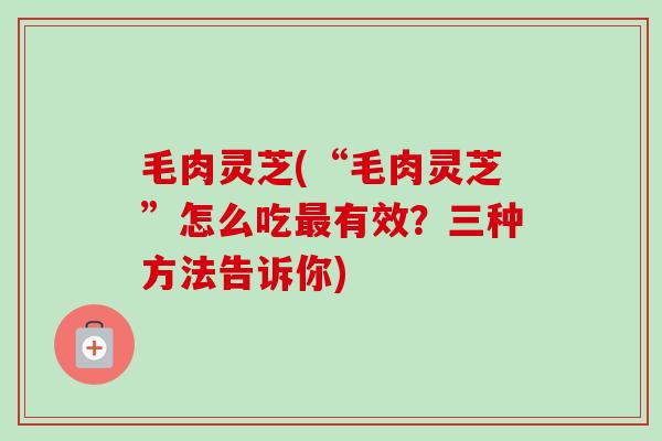 毛肉灵芝(“毛肉灵芝”怎么吃有效？三种方法告诉你)