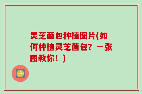 灵芝菌包种植图片(如何种植灵芝菌包？一张图教你！)