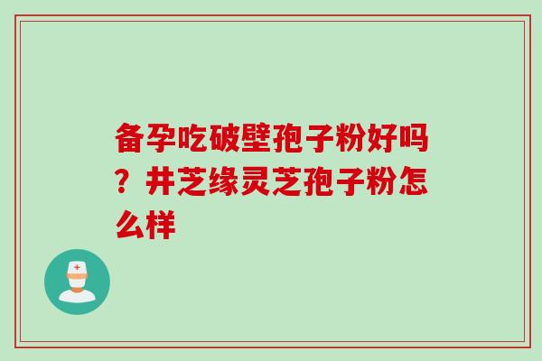 备孕吃破壁孢子粉好吗？井芝缘灵芝孢子粉怎么样