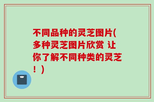不同品种的灵芝图片(多种灵芝图片欣赏 让你了解不同种类的灵芝!) 不同品种的灵芝图片(多种灵芝图片欣赏 让你了解不同种类的灵芝!)