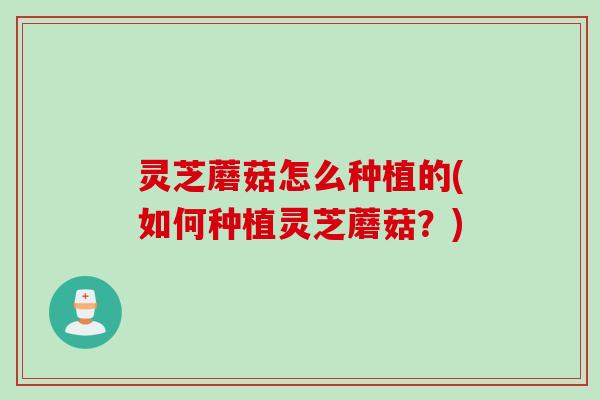 灵芝蘑菇怎么种植的(如何种植灵芝蘑菇？)