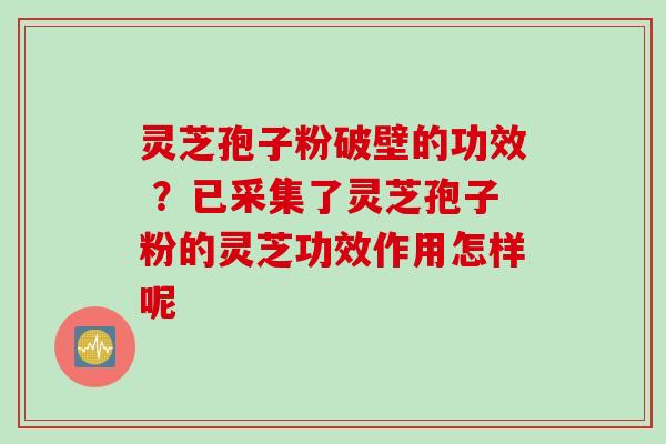 灵芝孢子粉破壁的功效 ？已采集了灵芝孢子粉的灵芝功效作用怎样呢