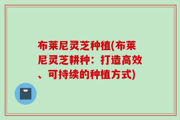 布莱尼灵芝种植(布莱尼灵芝耕种：打造高效、可持续的种植方式)