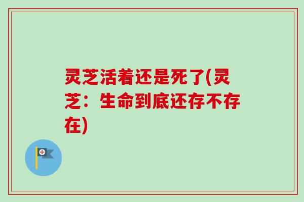 灵芝活着还是死了(灵芝:生命到底还存不存在) 灵芝活着还是死了(灵芝:生命到底还存不存在)