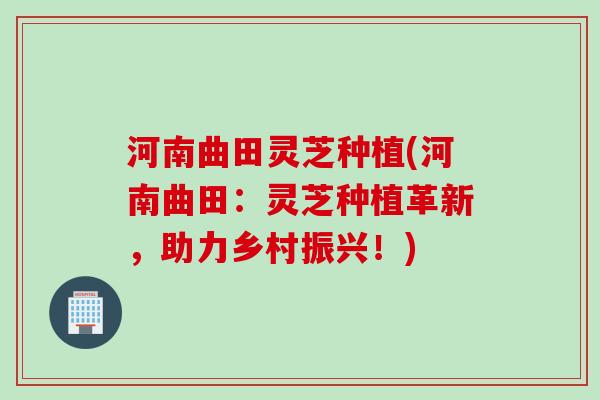 河南曲田灵芝种植(河南曲田：灵芝种植革新，助力乡村振兴！)