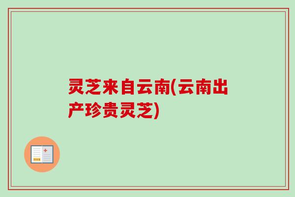 灵芝来自云南(云南出产珍贵灵芝)
